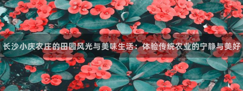 白宫摩根会娱乐会所