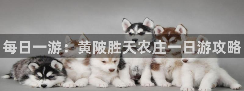 泉州摩根娱乐