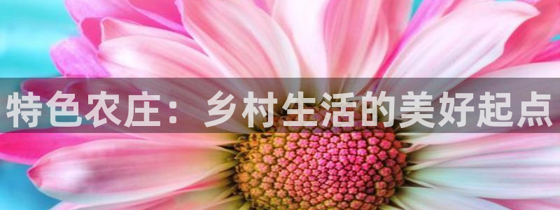 泉州摩根娱乐会所