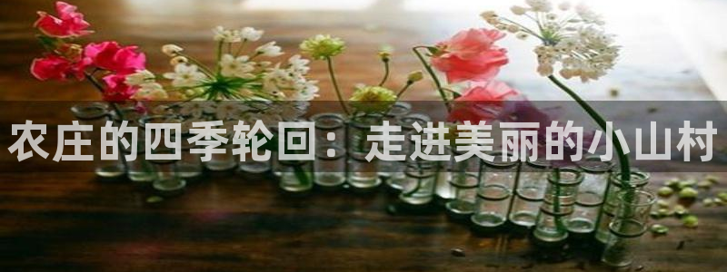 重生娱乐美日混血摩根