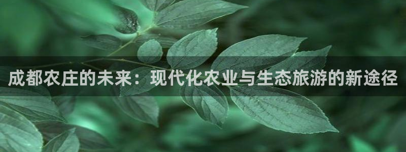 摩根娱乐宝的代理方式