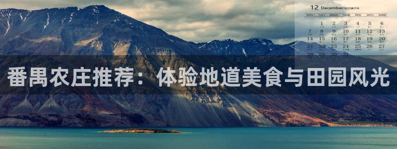 摩根国际娱乐宝书籍