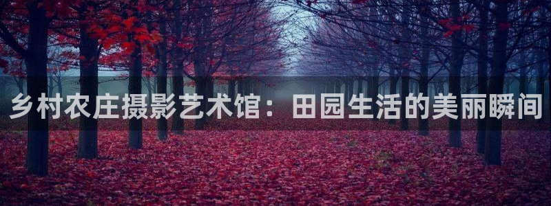 摩根娱乐宝邀请码