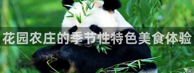 义务摩根娱乐会所