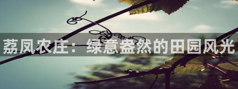 摩根娱乐1老o板50820