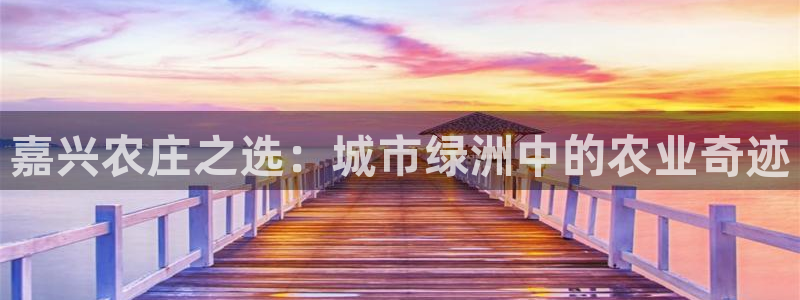 摩根娱乐1老o板50820