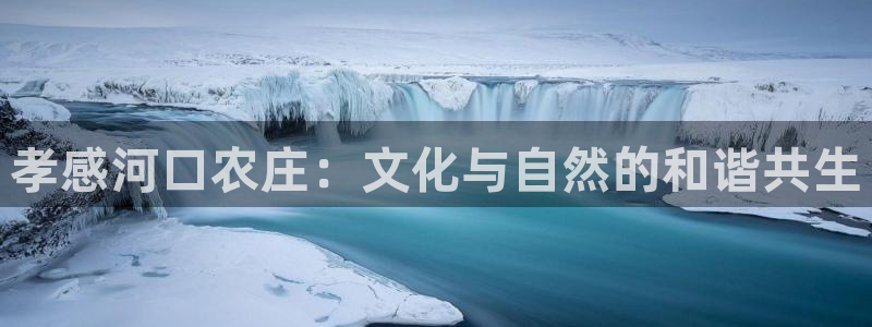 摩根娱乐宝的代理方式