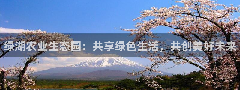 泉州摩根娱乐会所电话号码