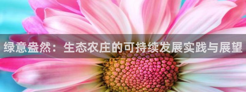 摩根娱乐宝骗局
