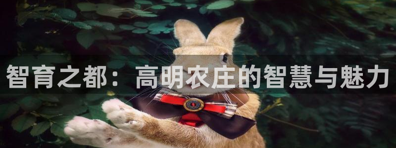 摩根娱乐会所门头