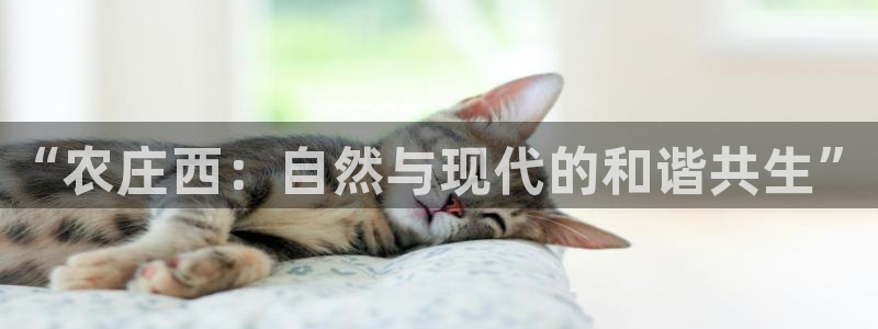 摩根娱乐宝是什么意思