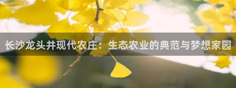 摩根娱乐宝合法吗
