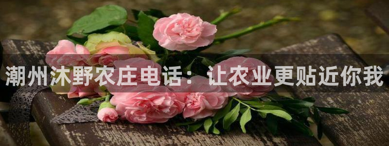 摩根娱乐身生个女孩吧