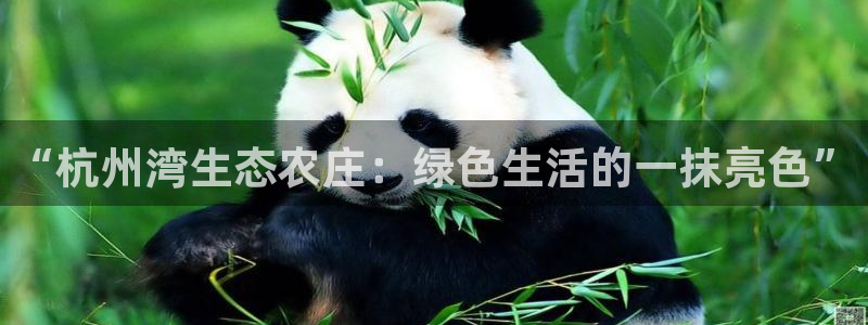 摩根娱乐宝软件下载