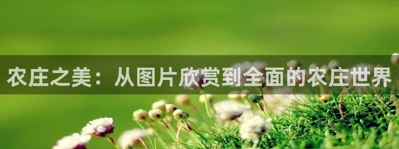 杭州市摩根国际娱乐会所