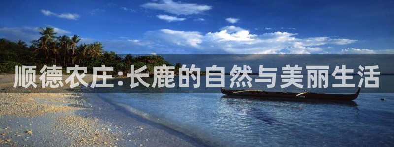 摩根娱乐视频大全
