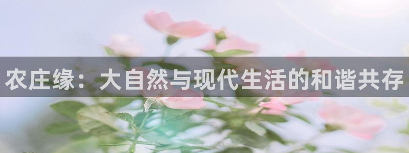 白宫摩根娱乐