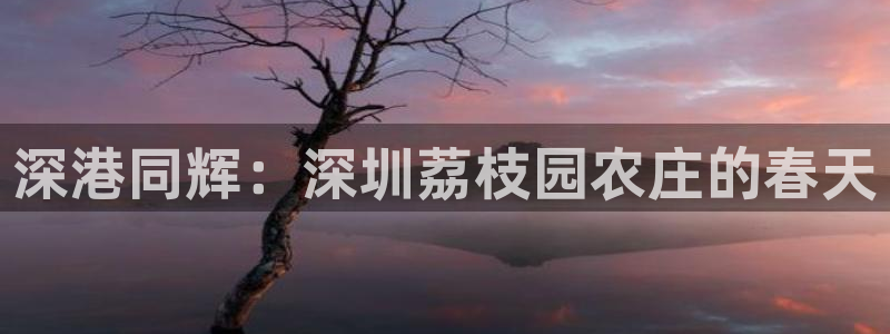 摩根国际娱乐宝书籍