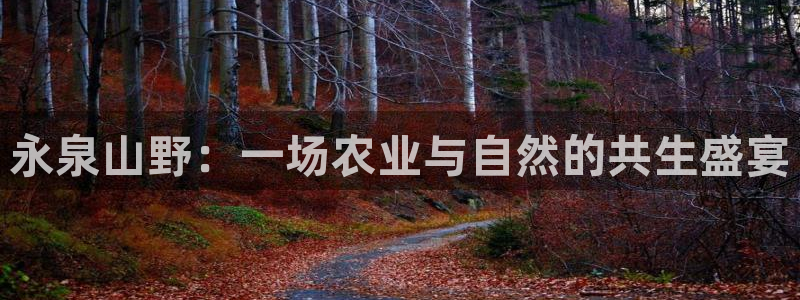 摩根娱乐是真的呀