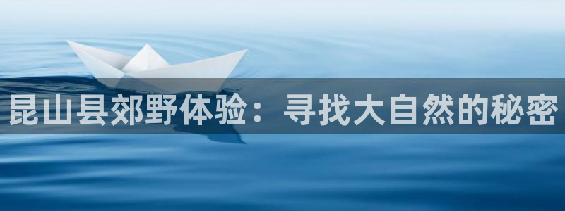 摩根娱乐云挂机项目
