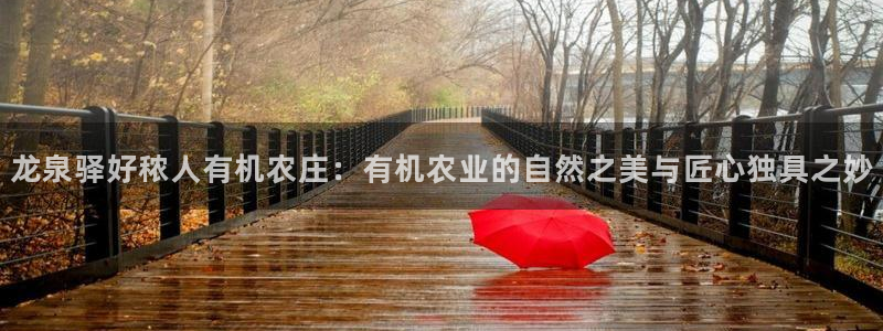 摩根国际娱乐宝在哪里