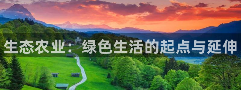 摩根娱乐 F招D商98732