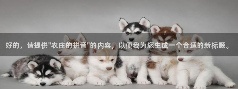 摩根娱乐宝可信吗