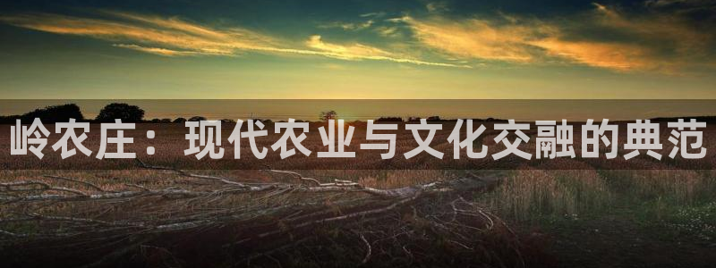 摩根国际娱乐宝合法吗
