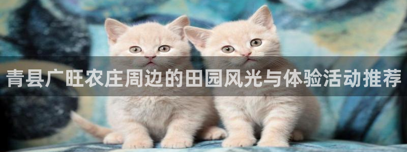 摩根娱乐彩票被骗了