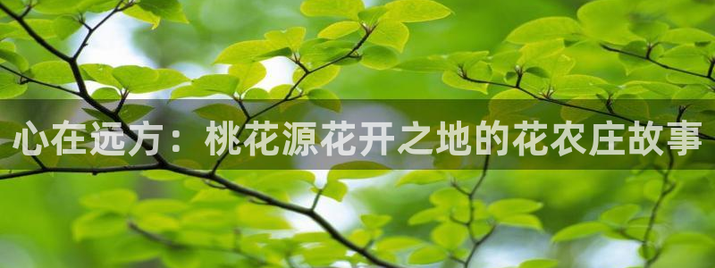 摩根娱乐宝合法吗