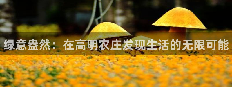 摩根国际亚太娱乐宝