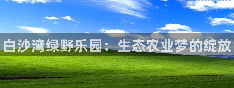 摩根100娱乐会所