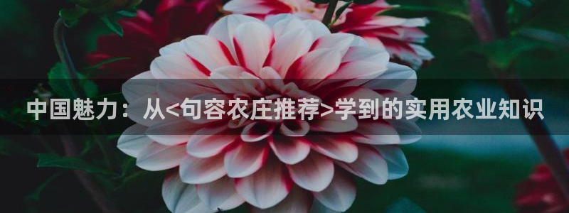 昆明滇池路摩根道娱乐