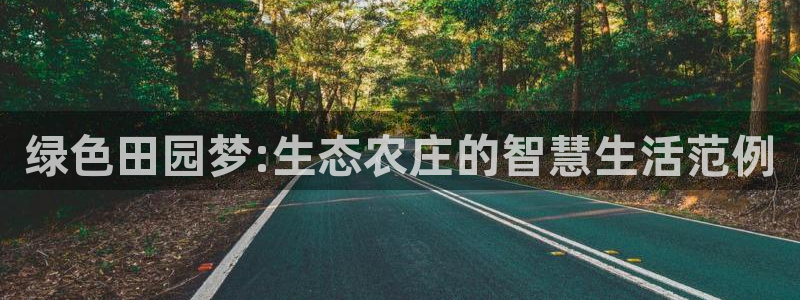 摩根娱乐挂机项目怎么样