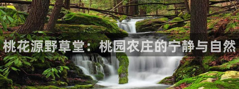 临平摩根国际娱乐会所