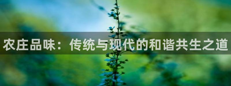 摩根国际娱乐会所电话