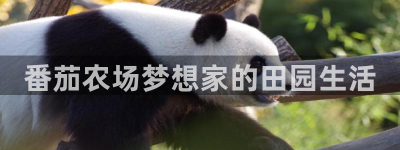 摩根娱乐宝合法吗
