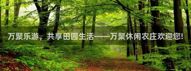 摩根在娱乐圈爆红