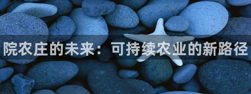 摩根娱乐包是什么意思