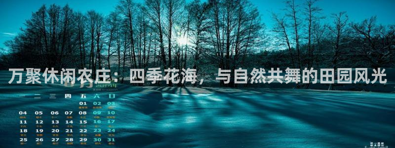 摩根娱乐挂机项目