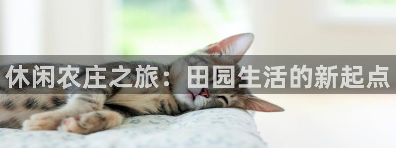 摩根娱乐宝骗了多少人