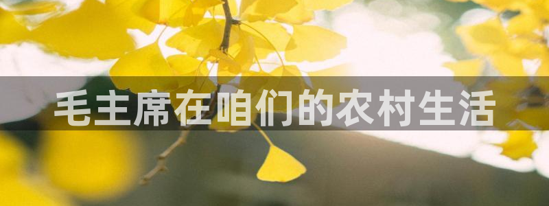 摩根娱乐是骗局吗