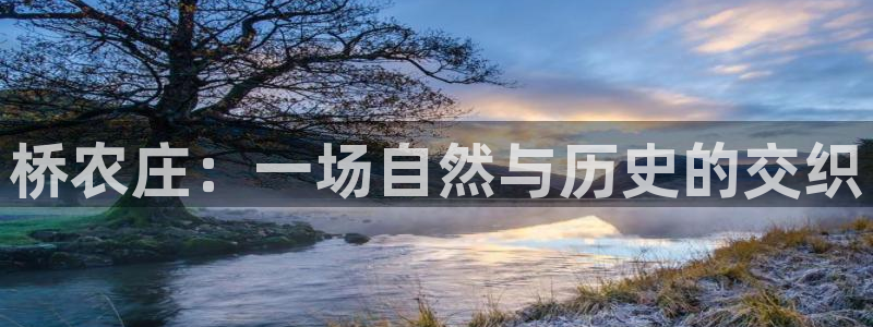 嘉兴摩根大饭店 娱乐