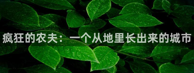 摩根娱乐宝如何提现