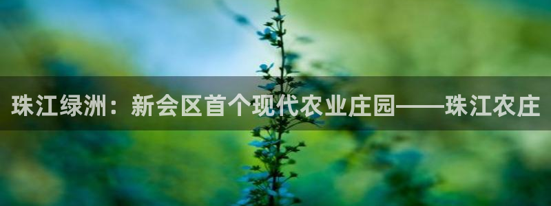 摩根娱乐 c招a商77130