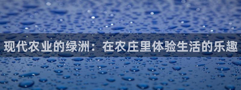 摩根娱乐1老H板50820
