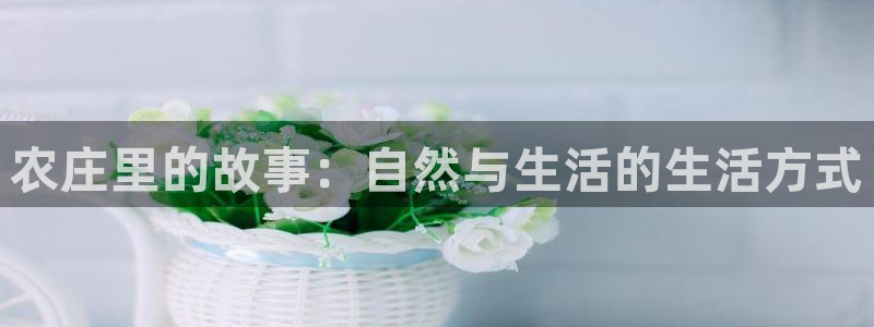 摩根娱乐宝口碑