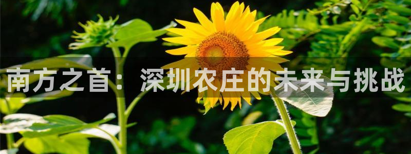 摩根空间附近休闲娱乐