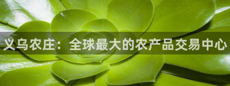 泉州摩根会娱乐邮箱