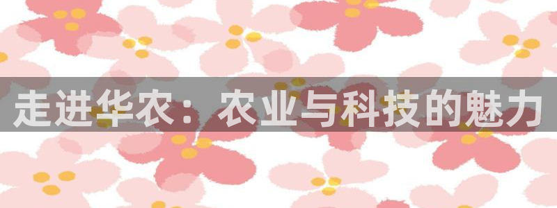 摩根士丹利娱乐